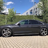 Audi D4