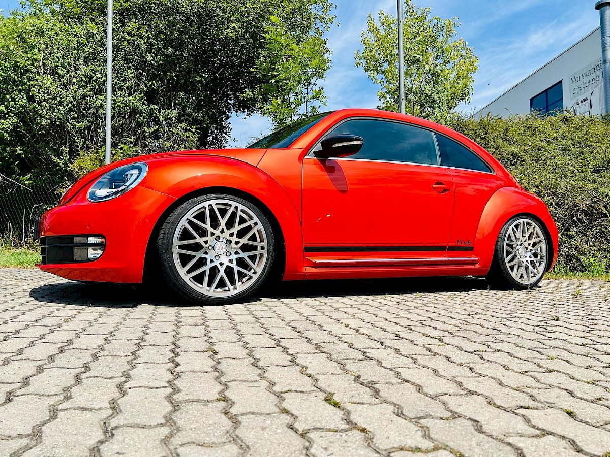 VW Beetle