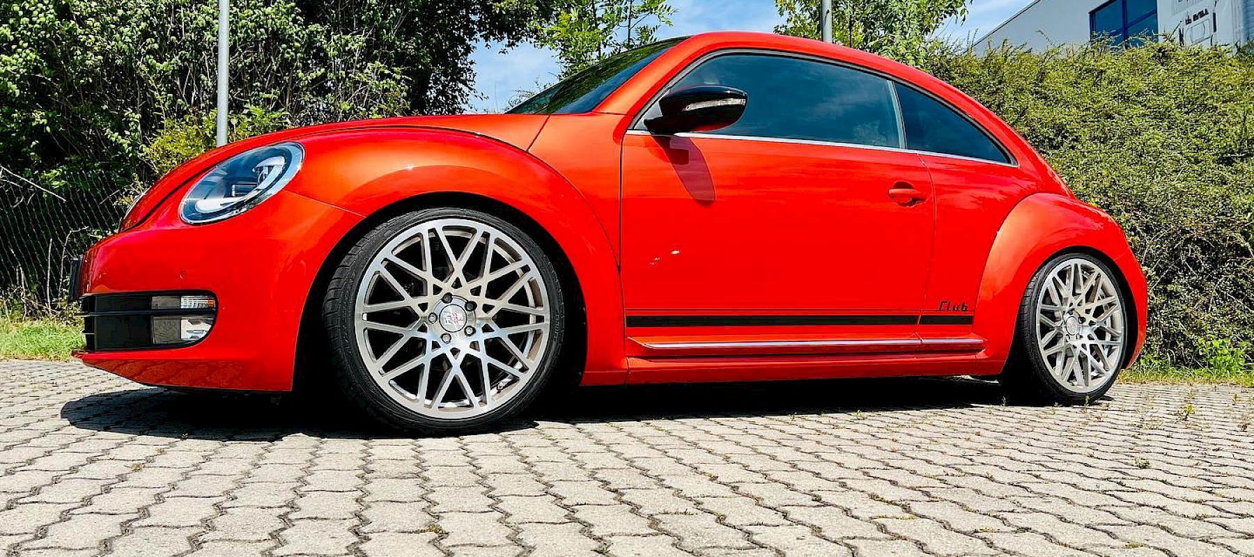 VW Beetle