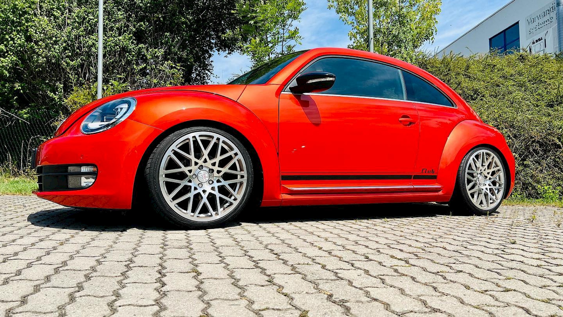 VW Beetle